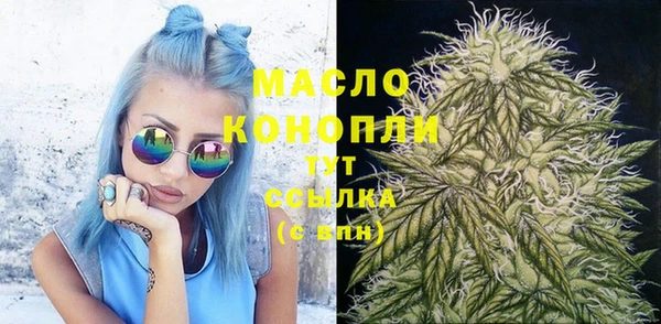 хмурый Гусев