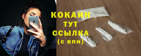 хмурый Гусев