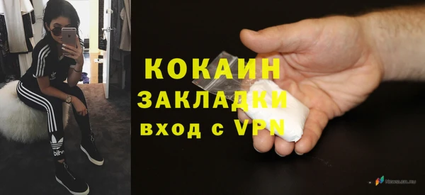 хмурый Гусев
