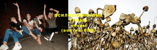 МДПВ Гусь-Хрустальный