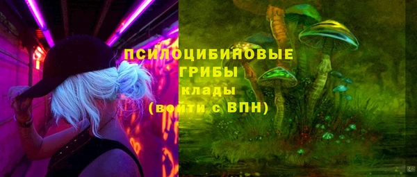 хмурый Гусев