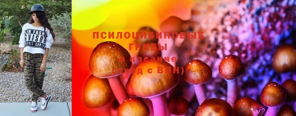 МДПВ Гусь-Хрустальный