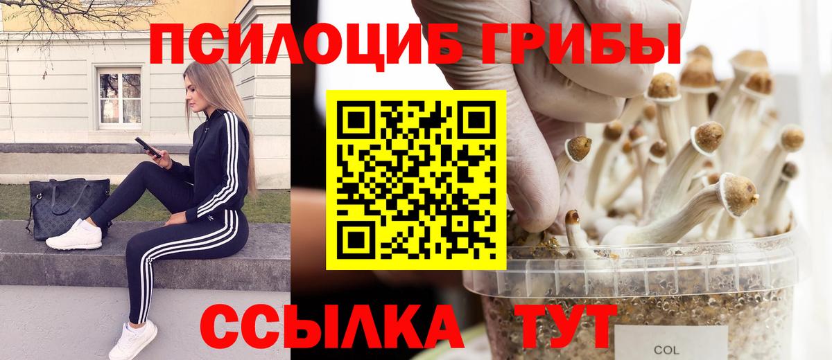 Псилоцибиновые грибы MAGIC MUSHROOMS Пятигорск